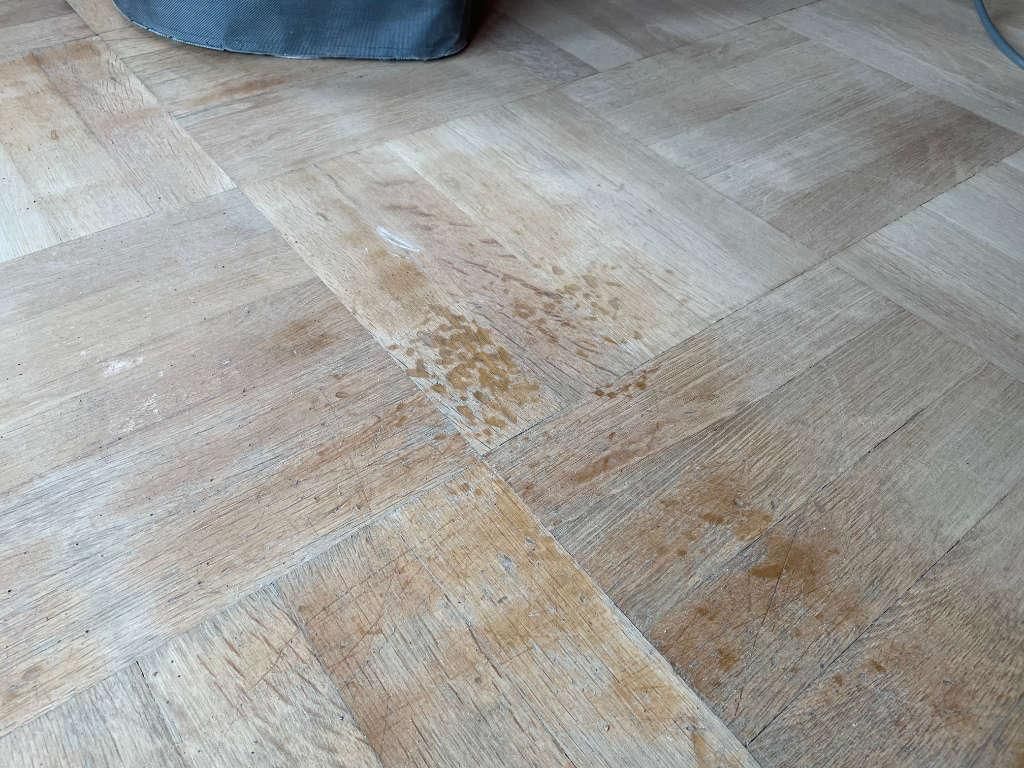 Parkettschliff Tübingen schleifen Kosten