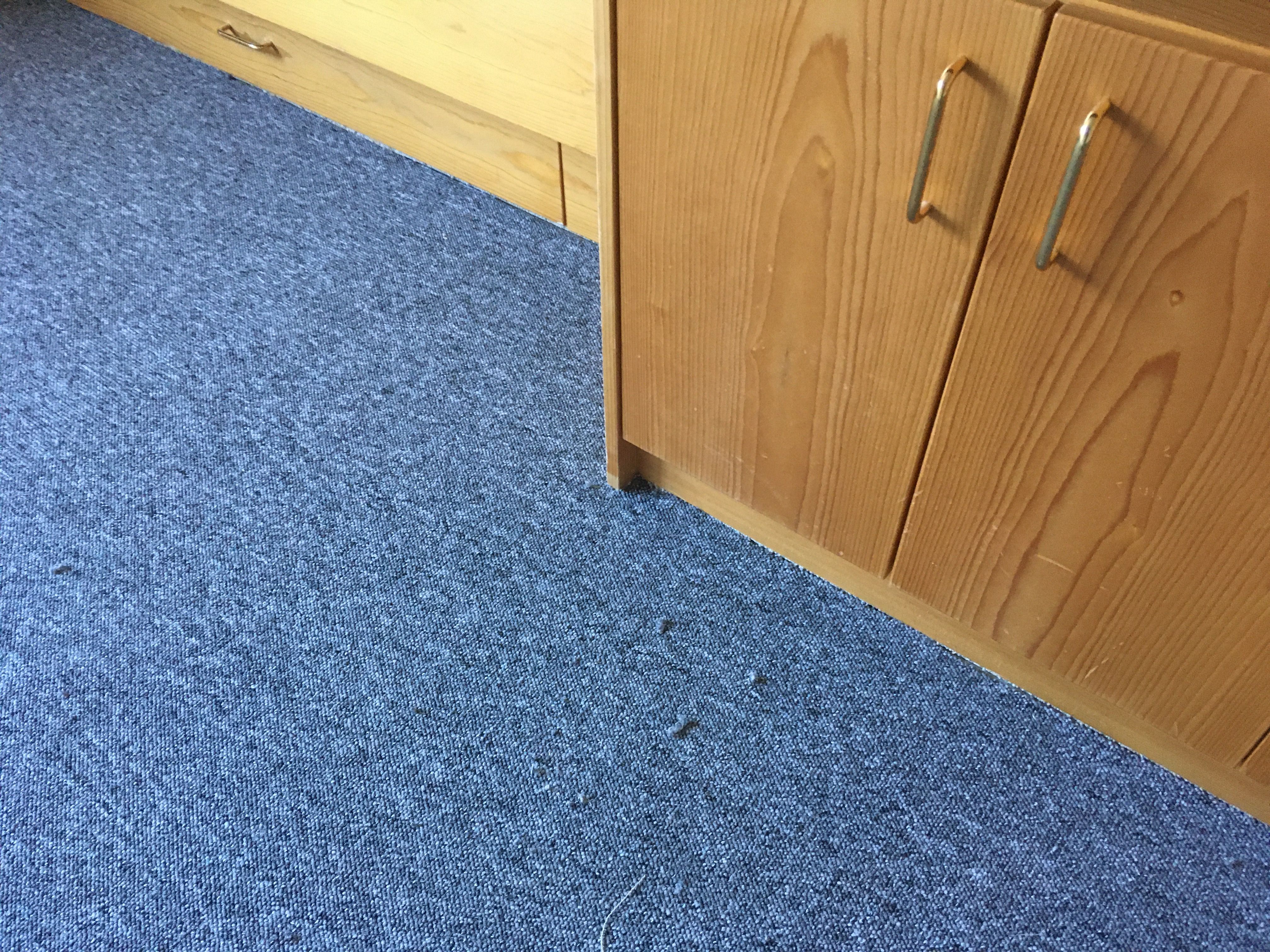 Teppichboden Einbauschrank Verlegung Stuttgart