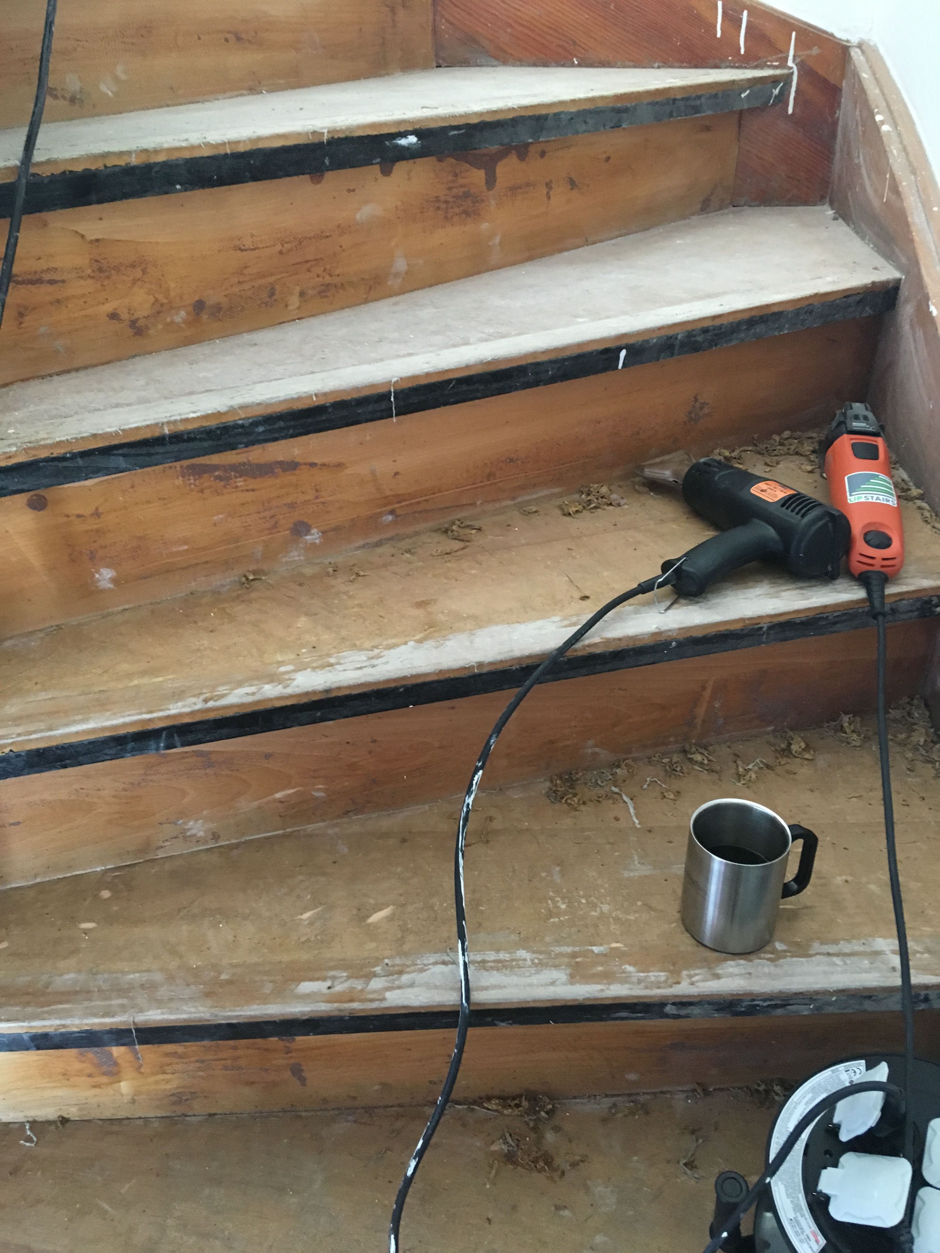 Treppe Kleber entfernen Kosten